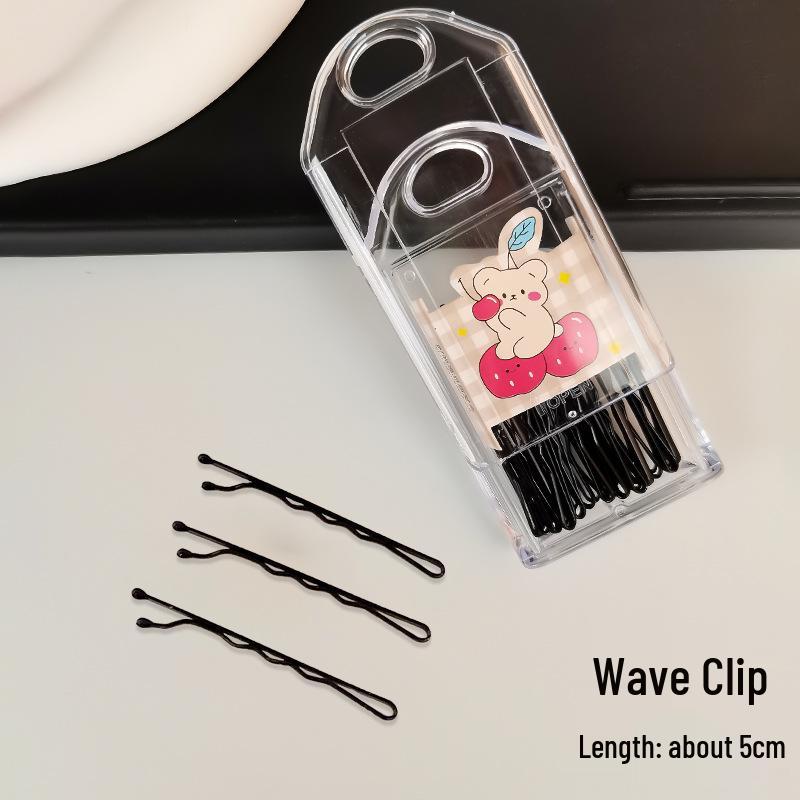 

Black Basic Side Bangs Steel Hair Clip – Flyaway Hair Accessory