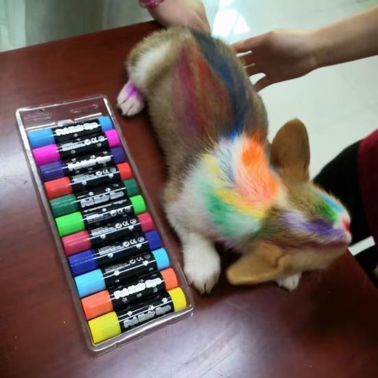 12 Pezzi Bastoncino Colorante per Pelo di Animale Cane Vernice Colorante per Pelo Pennarelli Temporanei Colore Capelli Sicuro Stick per Styling Accessori per Animali