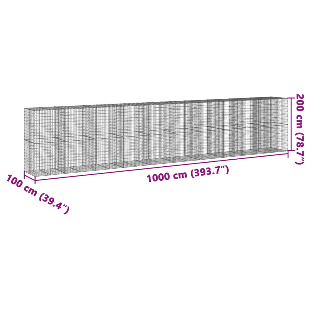 Gabion with Lid 1000x100x200 Cm Galvanized Iron