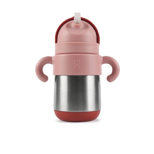 

Meroware Baby Thermos with Stainless Steel Straw, 270ml, Insulated Straw Mug, for Toddlers, Boys and Girls, New Matt Matte Color, New Muted Color, Bab