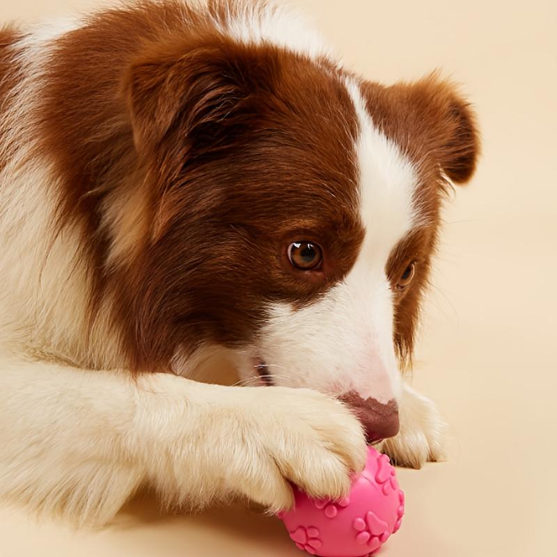 Quietschender Gummi-Hundespielzeugball Cartoon Pfotenabdruck Design Kleine Rassen Langlebiges Kauspielzeug Zahngesundheit Haustier Spielzeug Interaktives Hundespielzeug