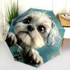 Shih Tzu pattern, automatic folding umbrella, portable and foldable design, 8 ribs, a Christmas or birthday gift.