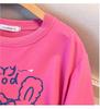 Plus Size 200-350 Jin Loose Autumn Hoodie - Bust 150/160 (Model 6072)