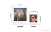 Polaroid Instant Film Polaroid Go film double pack color film 16 sheets frame color white - (6017)