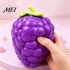Giant Fruit Sensory Toy Large Pineapple Stress Ball, Slow Rising Squeeze for Anxiety Relief, Strawberry Study Reduction Banana Grape Corn Carrot Toy,