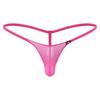 Herren G-String-Bikini, T-Rücken, durchsichtiger Tanga, niedrige Leibhöhe