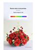 Japanese-Style Floral Art Decor: Bedside and Dining Table Arrangement