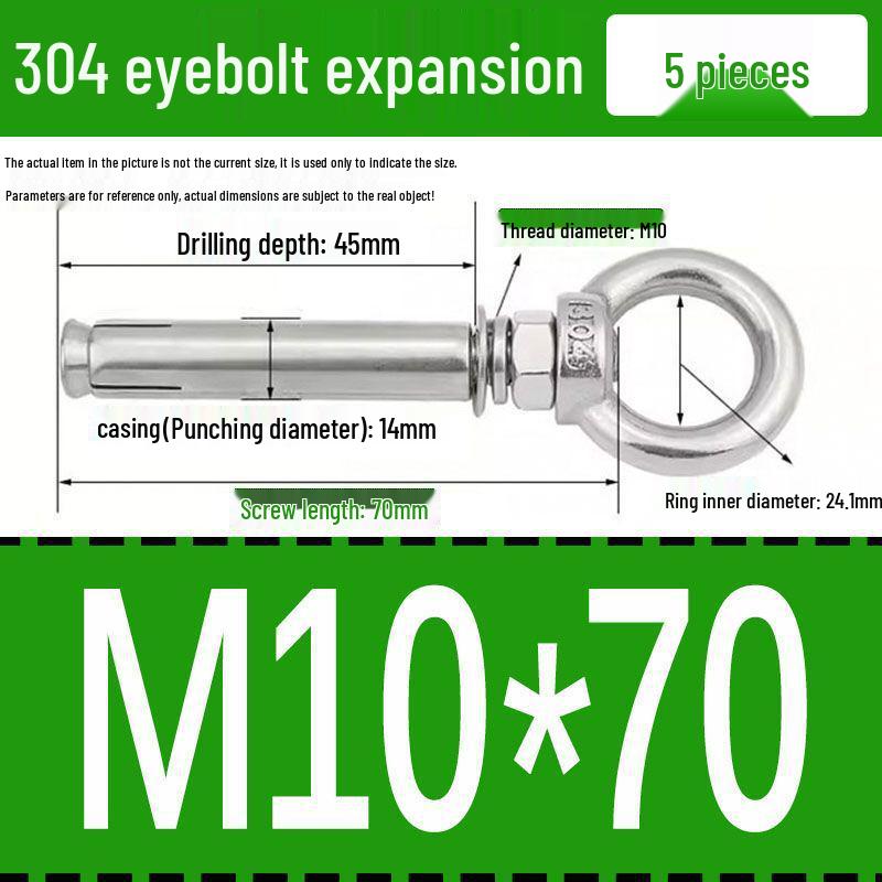 Stainless Steel 304 Eyebolt Expansion Nail with Fixing Loop