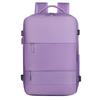 Lishen Large Capacity Travel & Business Laptop Backpack