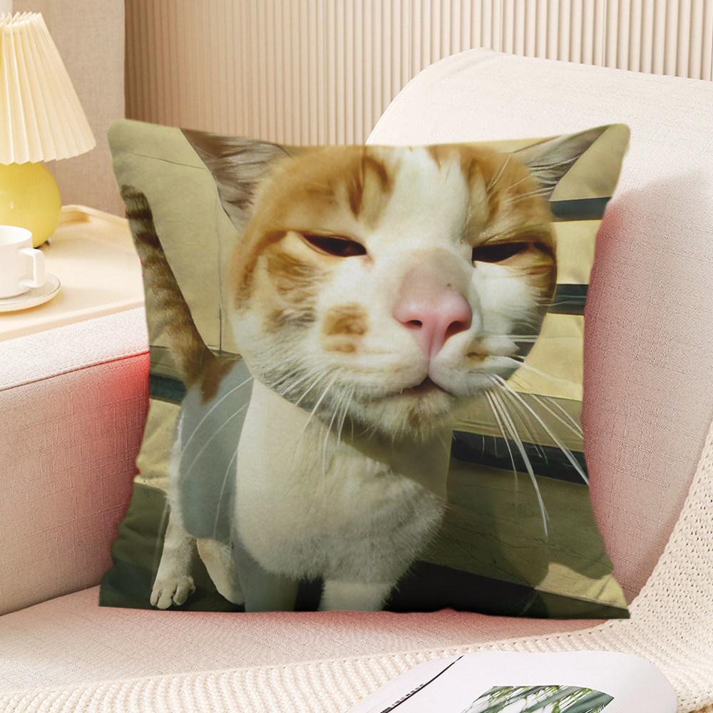 New Cute Funny Cat Pillow Case Sofa Office Bedroom Bedside Home Decor Cushion Cover