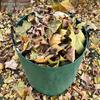 Large Capacity Outdoor Garden Waste Bag