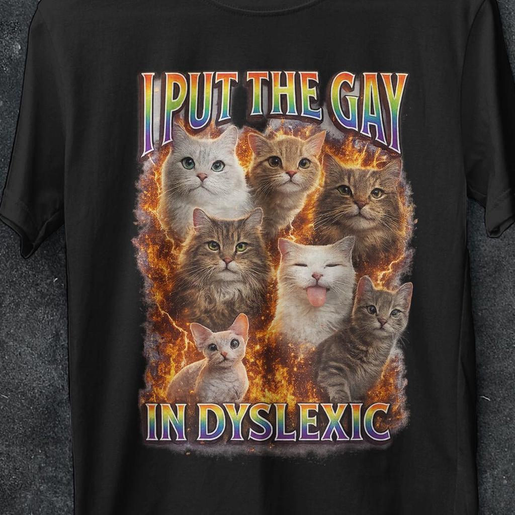 Ik stopte de Gay in Dyslexisch shirt, Grappige Offensieve shirts, Meme Bootleg, katten shirt, Ongebalanceerd Shirt, Vervloekt shirt, Vreemd Specifieke shirts, Gen z