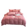 Coral Fleece Milk Velvet Winter Bedding Set: Thickened Embroidered Duvet Cover and Bed Sheet for Dorms.