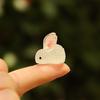 Luminous Micro Landscape Rabbit Ornaments Glow in The Dark Bunny Figurines for Moss Micro-Landscapes Fish Tank Decoration DIY Accessories