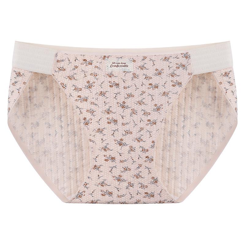 Plus Size Women's 10A Cotton Antibacterial Crotch Breathable and Gently Tucked High Waist Briefs