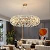 oeny Luxury Spherical Crystal Chandelier