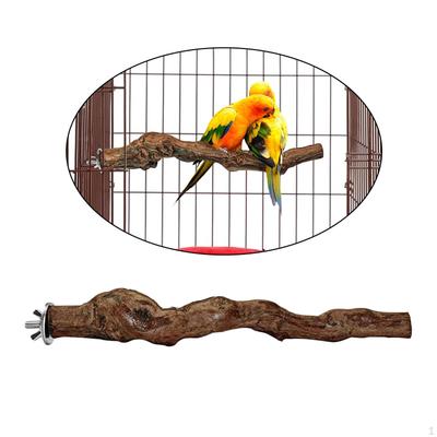 Vögel – Vögel-Spielzeug