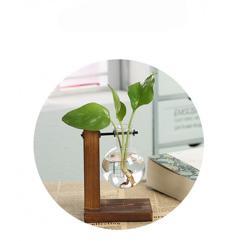 Creative Transparent Glass Plants Vase