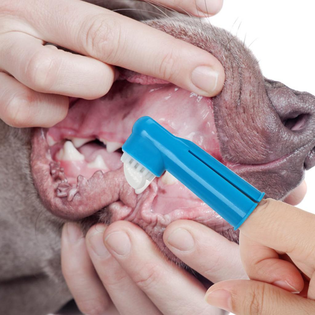 Pet Finger Toothbrush, Dog Toothbrush, Cat Oral Cleaning Finger Set, Cat Toothbrush, Pet Supplies