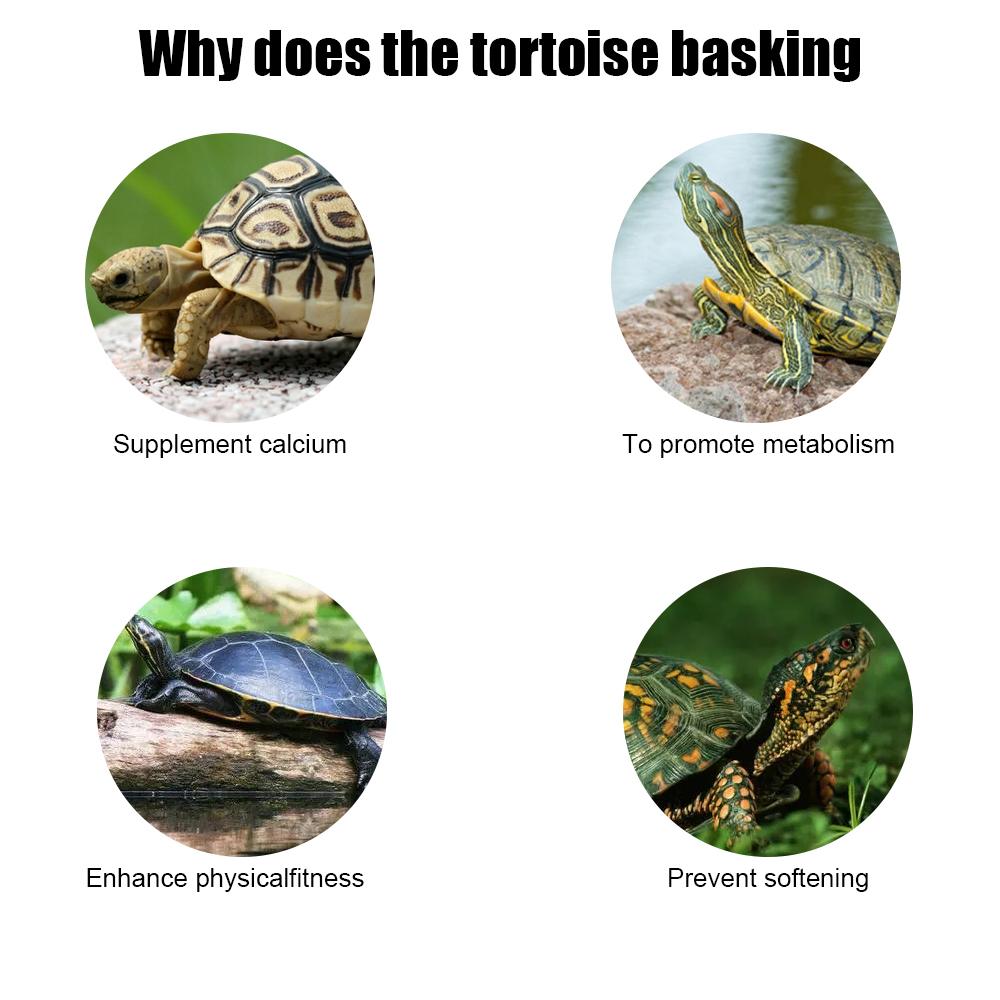 Aquarium Dekoration Saugnapf Schildkröte Kletterleiter Schildkröte Sonnenplattform Simulierte Rasenlandschaftsgestaltung Trocknen Schwimmend