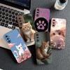 Kitten Cat Meow Silicone Cover for Xiaomi Redmi Note 14 13 Pro Plus ProPlus 14C A3 Pro+ 14Pro 5G Coque Phone Case