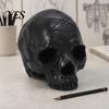 Ornamentale Teschio in Resina Ornamentale, Stile Oscuro Prop di Halloween, Robusto Modello Didattico Modello Durevole, Nero Opaco Anatomia Retro