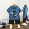 Children's National Studies Hanbok Boys Summer Chinese Style Performance Clothes Girls Hanbok Performance Tang Suit Ancient Style Baby Suit
