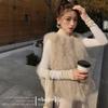 New Autumn and Winter Imitation Fur Vest Women's Short Vest Vest Imitation Fox Hair Plush Internet Celebrity Vest Jacket