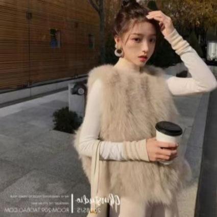 New Autumn and Winter Imitation Fur Vest Women's Short Vest Vest Imitation Fox Hair Plush Internet Celebrity Vest Jacket