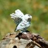 DIY Owl Owl Figurine Weatherproof Resin Resin Crafts Simulation Miniatures Figurine Bonsai