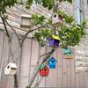 1 Set Vogel Haus Bau Kit Kinder DIY Malerei Montage Vogel Box Handwerk Kinder Bauen Farbe Vogelhaus Geschenke Wahl