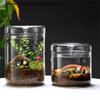 Tabletop Glass Bottles Creativity Dew Collection Glass Vase Micro Landscape Succulent Moss Landscape Glass Terrarium Home Decor
