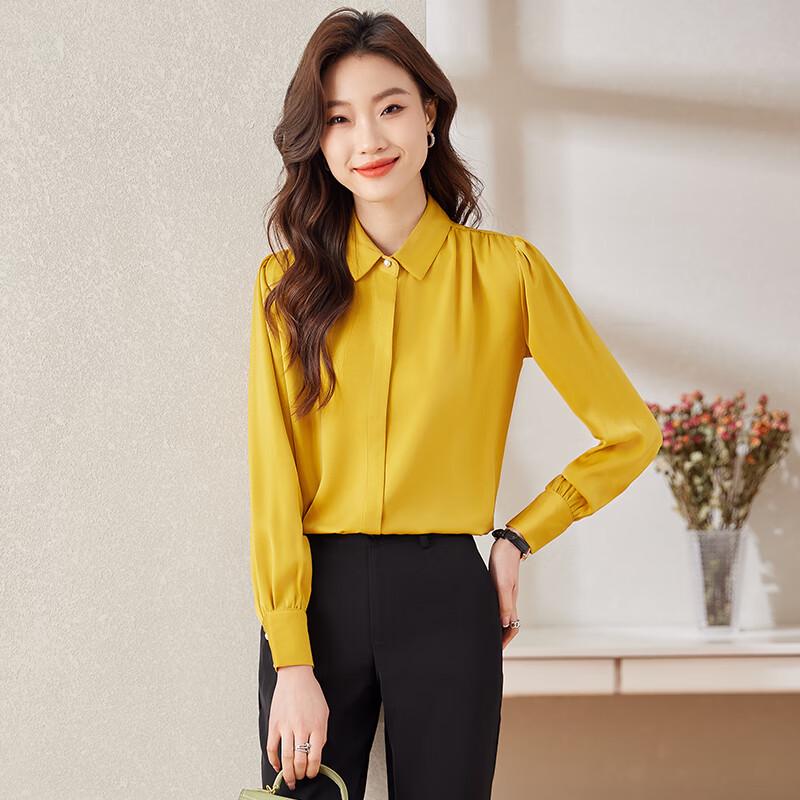 Women's Chiffon Long Sleeve Professional Shirt