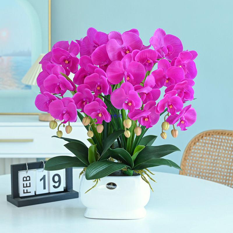 Artificial Phalaenopsis Floral Arrangement for Living Room Display - Potted Decoration for TV Cabinet