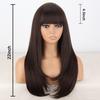 LISI HAIR Dámská přírodní rovná hnědá paruka s ofinou Syntetické vlákno Přírodní vlnitá vrstvená paruka Cosplay Denní nošení