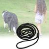 Nylon Leash Pet No Collar Needed Adjustable Length 120cm For Dogs Durable Black