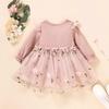 2024 Spring & Autumn European-American Mesh Long Sleeve Dress for Baby Girls - Trendy Children's Fashion Skirt.
