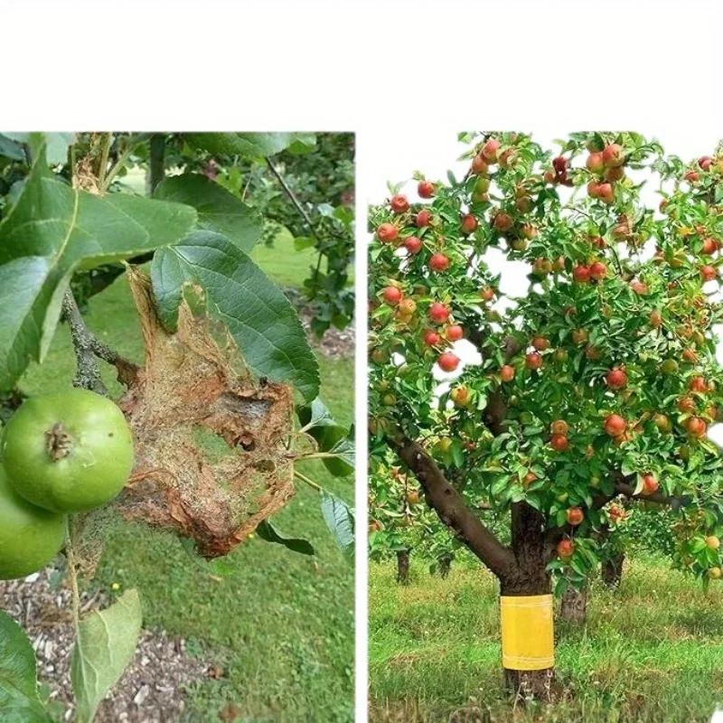 1 Ρολό Κίτρινη Διπλής Όψης Ταινία Ανθεκτική στα Έντομα Για να Αποτρέψετε τα Έντομα, τα Μυρμήγκια και τους Σκόρους να Αναρριχηθούν. Εξωτερική Παγίδα Εντόμων Κήπου 5Μ