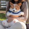 Chongker Plush Dog School Bag for Outings Backpack, Kids' Daypack,
