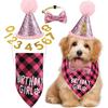 Pet Birthday Set Dog Scarf Hat Banner Flag Digital Set Pet Party Props