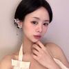 1 pair Luxury Silver Tassel Ear Clip Long Shiny Temperament Eardrops  Women