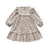 Sweet Girls Floral Dress With Ruffle Sleeves Spring Long Sleeve Princess Dress With Flower Embroidery For Kids