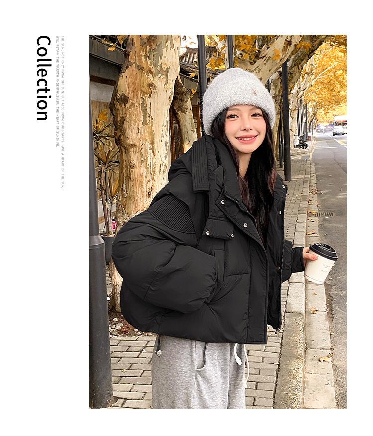 Dames Kort Hette Vindtett Tykk Varm Vinterjakke