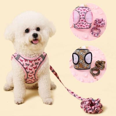 Köpek – Köpek Tasmaları ve Tasma Kayışları