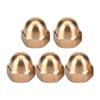 Brass Acorn Nut Kit Dome Head Cap Hex Nuts Set Vehicle Fasteners