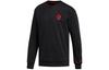 Sweatshirts Men's Black Crew Neck Thickened Regular FP8368