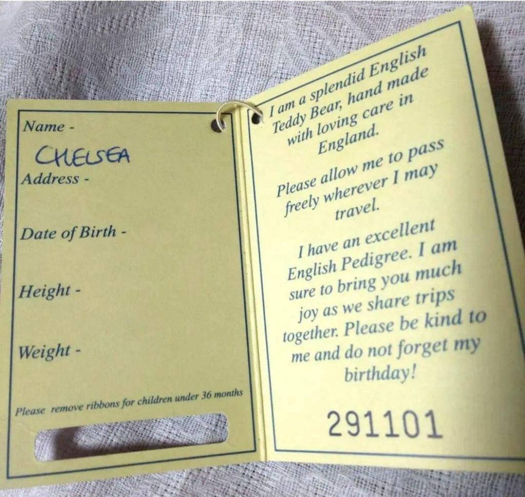 [USED] Teddy Bear English Teddy Bear Company