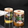 Transparent Hydroponic Plants Flower Pot Thickened Round Transparent Glass Pots Glass Mini Ecological Glass Vase Gardening