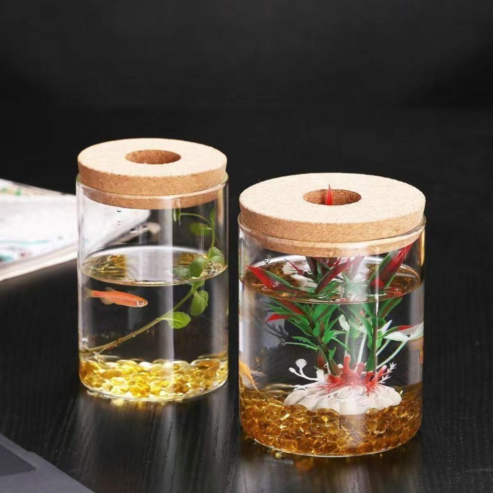 Transparent Hydroponic Plants Flower Pot Thickened Round Transparent Glass Pots Glass Mini Ecological Glass Vase Gardening