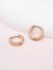 Limerencia G23 Pure Titanium Hypoallergenic Huggie Hoop Earrings for Women Girls Sensitive Ears Rose (8 Millimeters, Gold)